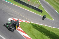 brands-hatch-photographs;brands-no-limits-trackday;cadwell-trackday-photographs;enduro-digital-images;event-digital-images;eventdigitalimages;no-limits-trackdays;peter-wileman-photography;racing-digital-images;trackday-digital-images;trackday-photos